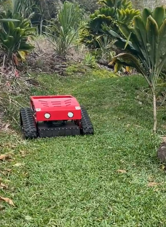 Red Hengwang remote control crawler lawn mower trimming grass on sloped backyard garden with tropical plants